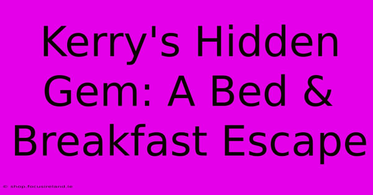 Kerry's Hidden Gem: A Bed & Breakfast Escape