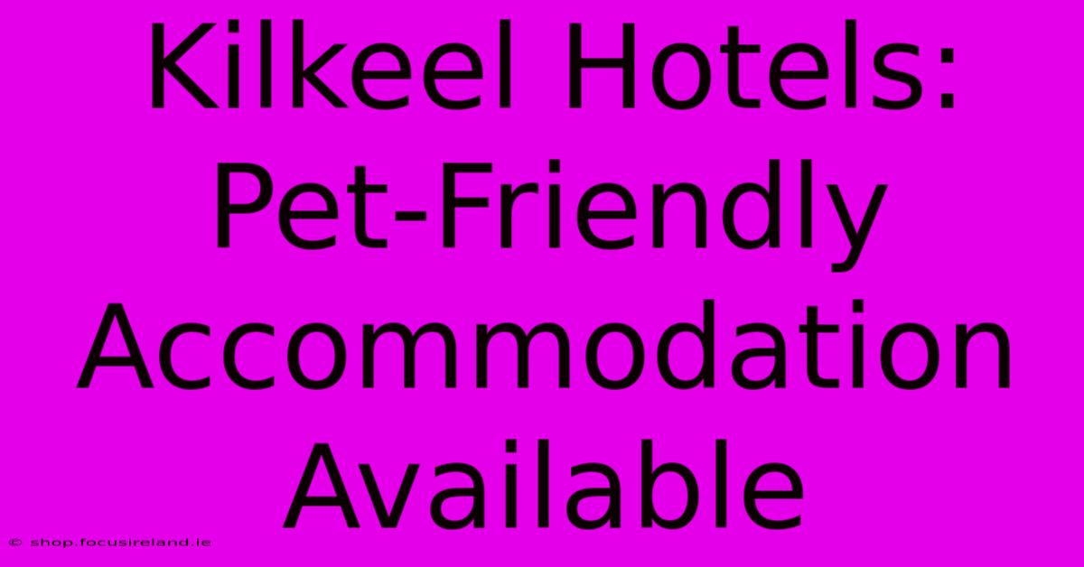 Kilkeel Hotels: Pet-Friendly Accommodation Available