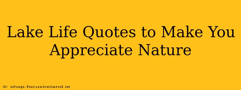 Lake Life Quotes to Make You Appreciate Nature