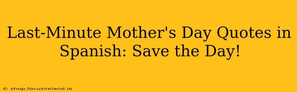Last-Minute Mother's Day Quotes in Spanish: Save the Day!
