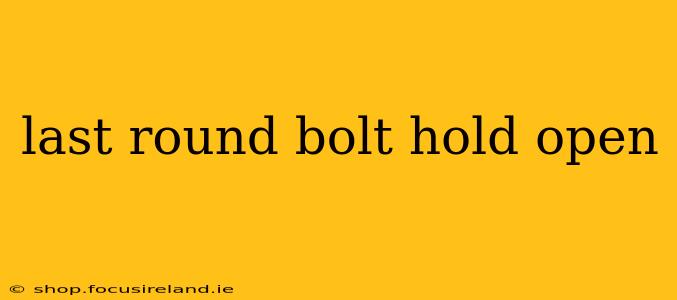 last round bolt hold open