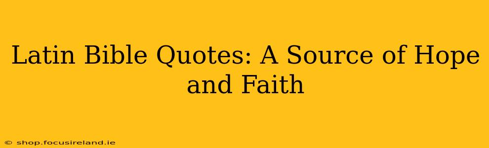 Latin Bible Quotes: A Source of Hope and Faith