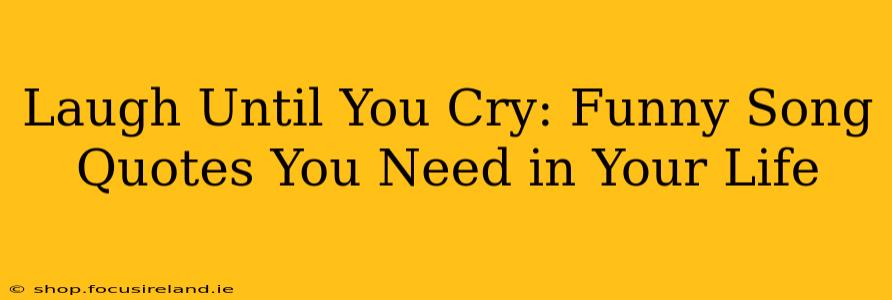 Laugh Until You Cry: Funny Song Quotes You Need in Your Life