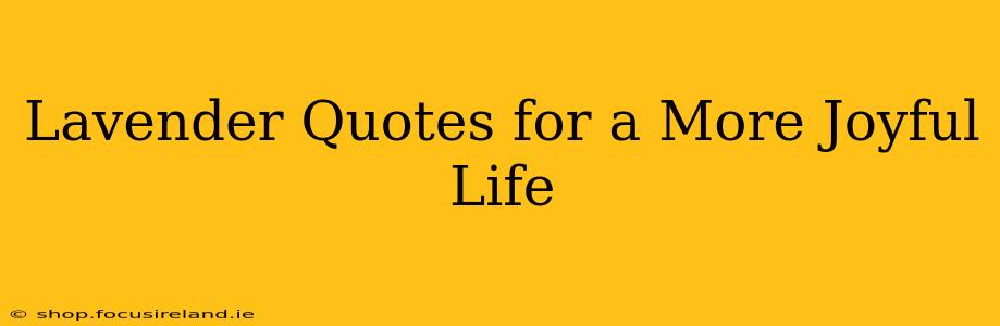 Lavender Quotes for a More Joyful Life
