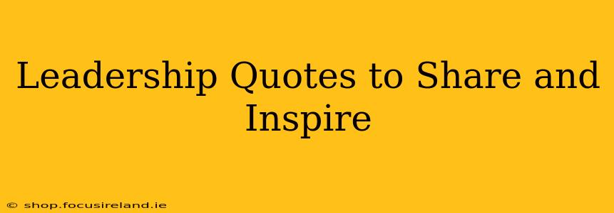 Leadership Quotes to Share and Inspire