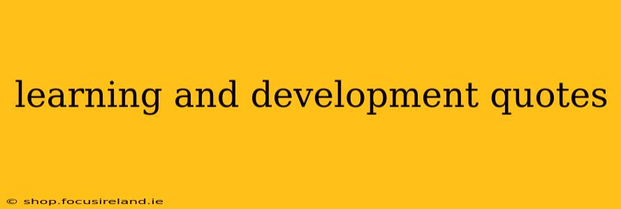 learning and development quotes