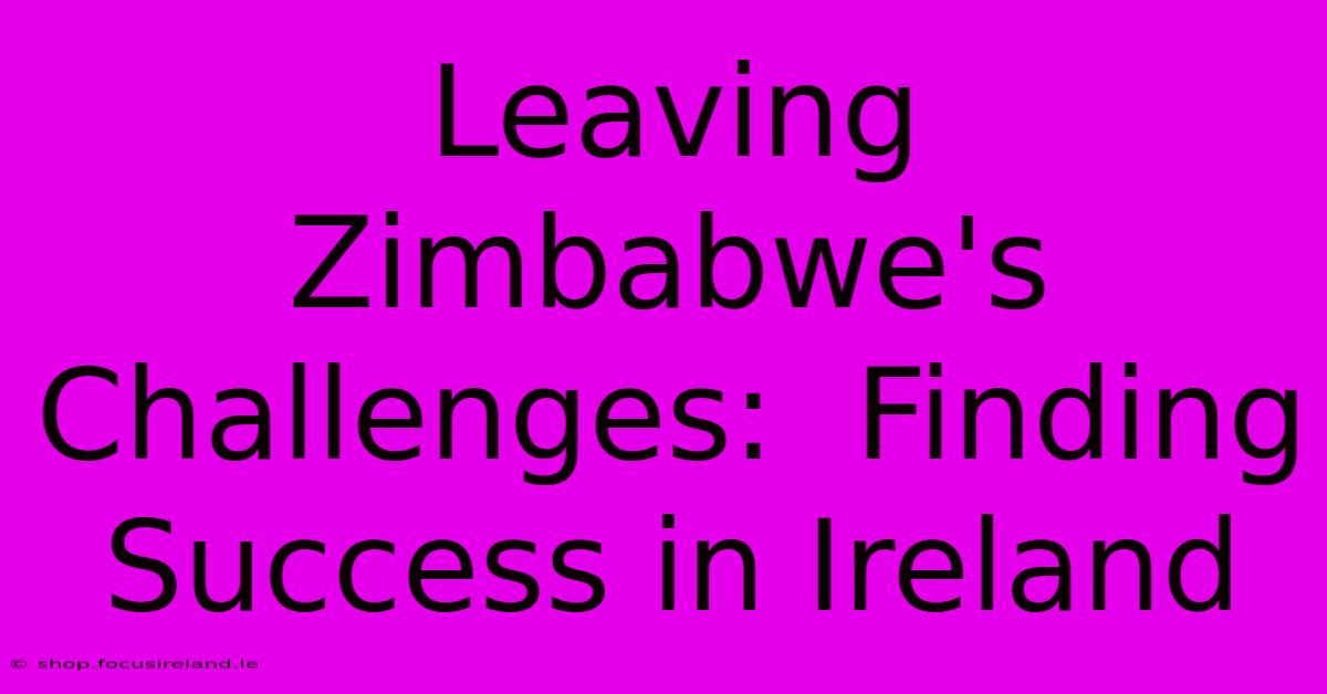 Leaving Zimbabwe's Challenges:  Finding Success In Ireland