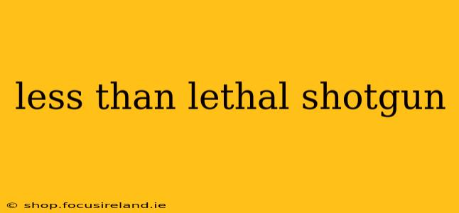 less than lethal shotgun