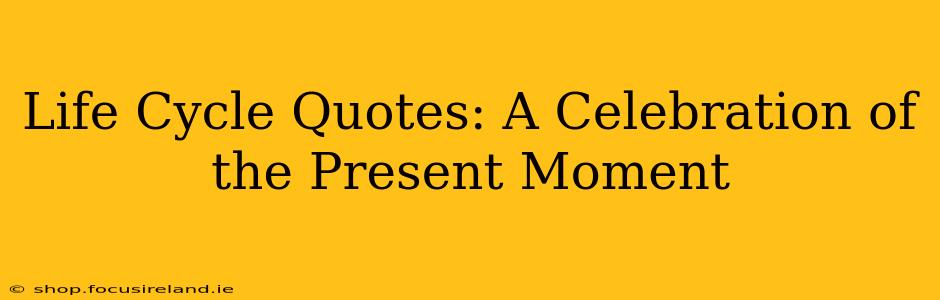 Life Cycle Quotes: A Celebration of the Present Moment