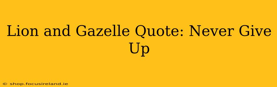 Lion and Gazelle Quote: Never Give Up
