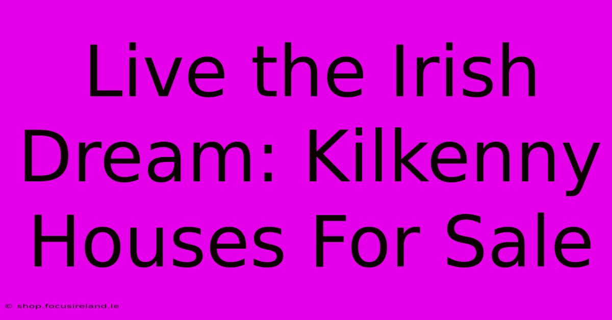 Live The Irish Dream: Kilkenny Houses For Sale