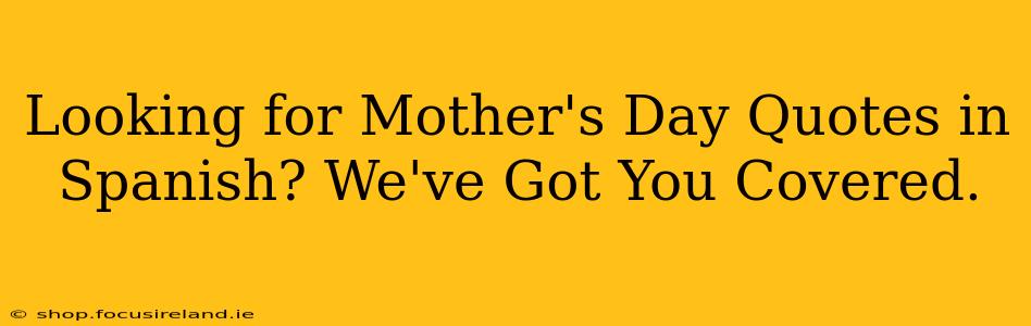 Looking for Mother's Day Quotes in Spanish? We've Got You Covered.