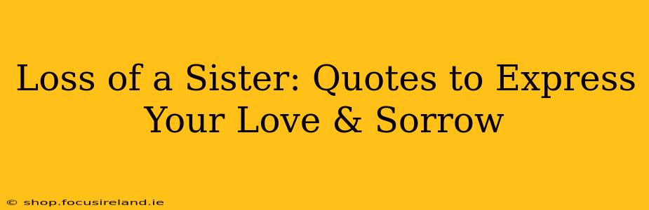 Loss of a Sister: Quotes to Express Your Love & Sorrow