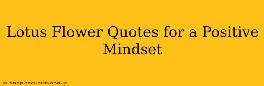Lotus Flower Quotes for a Positive Mindset