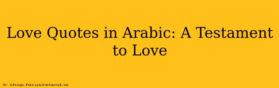Love Quotes in Arabic: A Testament to Love