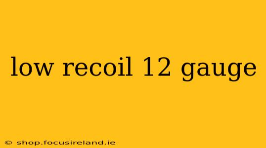 low recoil 12 gauge
