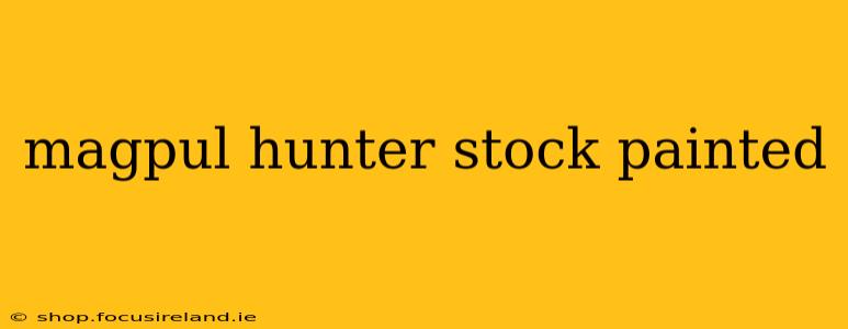 magpul hunter stock painted