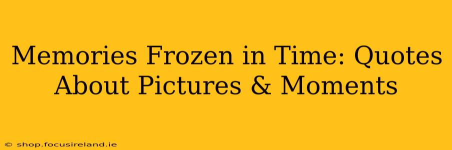 Memories Frozen in Time: Quotes About Pictures & Moments