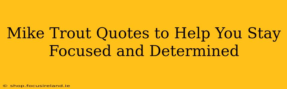 Mike Trout Quotes to Help You Stay Focused and Determined