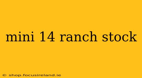 mini 14 ranch stock