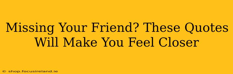 Missing Your Friend? These Quotes Will Make You Feel Closer