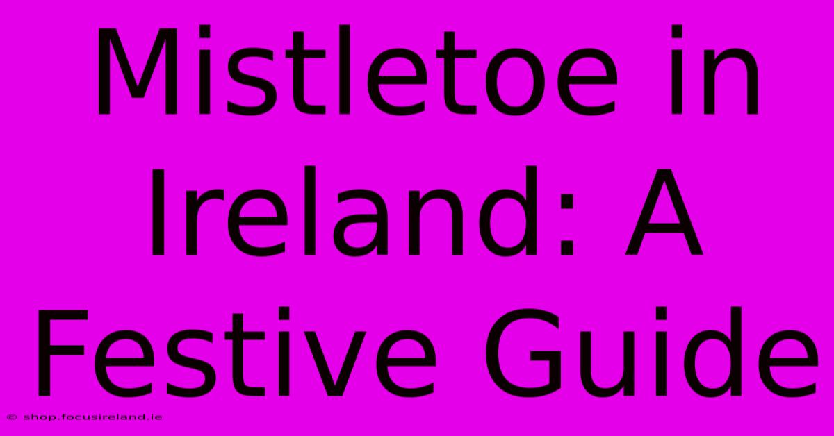 Mistletoe In Ireland: A Festive Guide