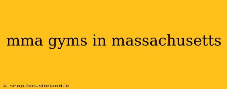 mma gyms in massachusetts