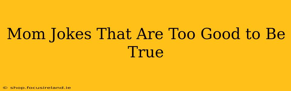 Mom Jokes That Are Too Good to Be True