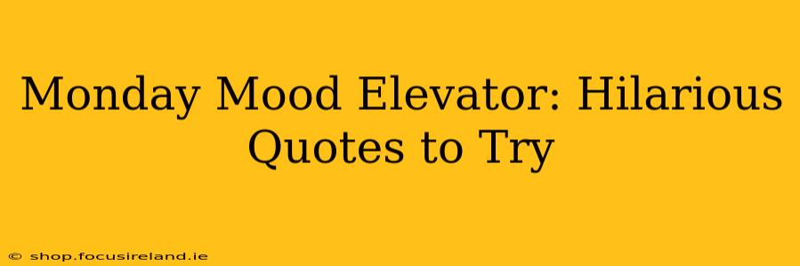 Monday Mood Elevator: Hilarious Quotes to Try