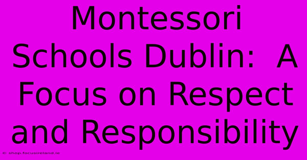 Montessori Schools Dublin:  A Focus On Respect And Responsibility