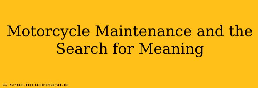Motorcycle Maintenance and the Search for Meaning