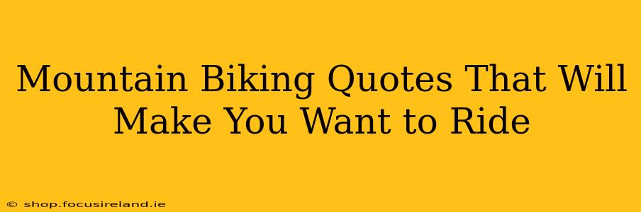 Mountain Biking Quotes That Will Make You Want to Ride