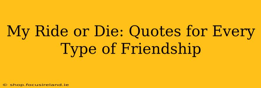 My Ride or Die: Quotes for Every Type of Friendship