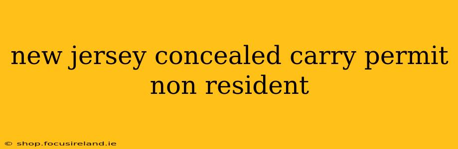 new jersey concealed carry permit non resident