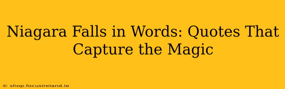 Niagara Falls in Words: Quotes That Capture the Magic