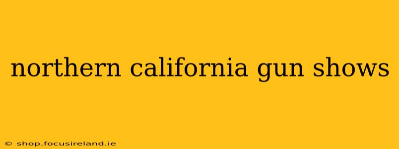 northern california gun shows