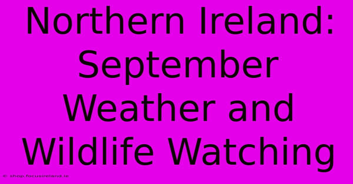 Northern Ireland: September Weather And Wildlife Watching