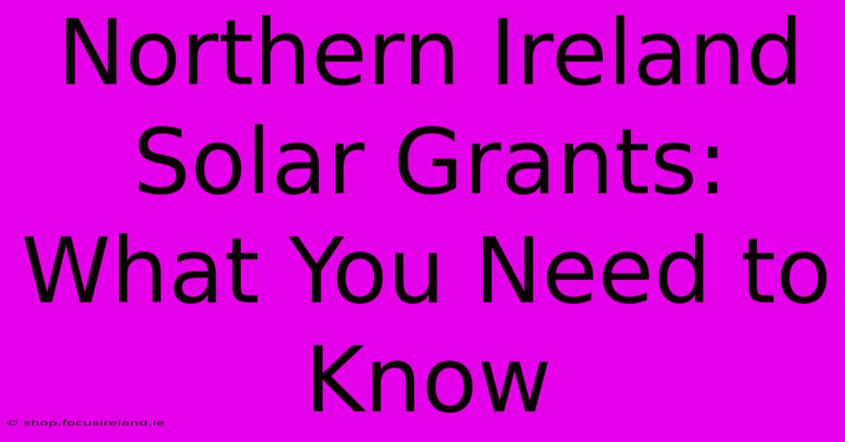 Northern Ireland Solar Grants: What You Need To Know