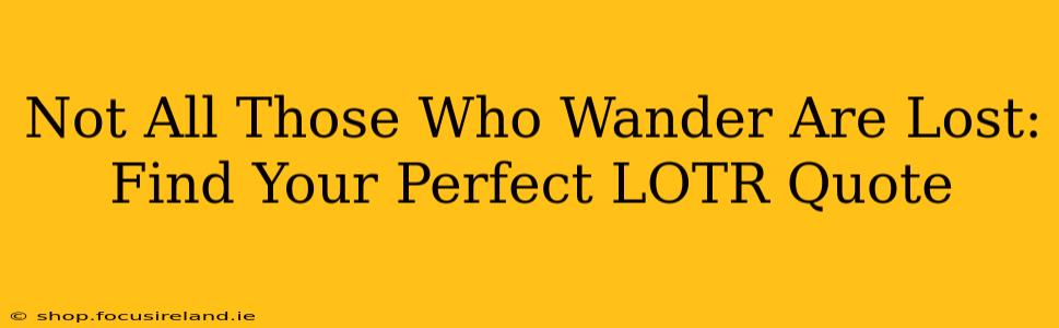 Not All Those Who Wander Are Lost:  Find Your Perfect LOTR Quote