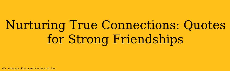 Nurturing True Connections: Quotes for Strong Friendships