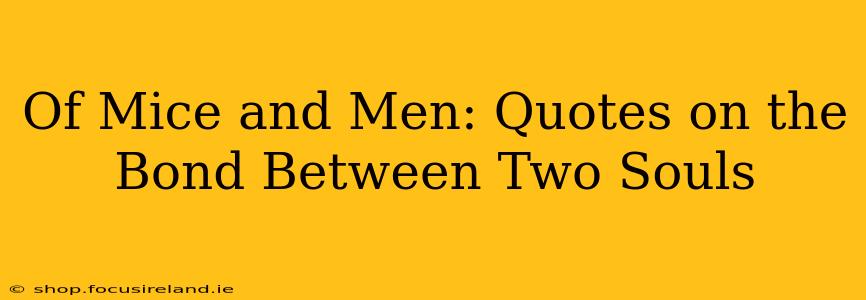 Of Mice and Men: Quotes on the Bond Between Two Souls