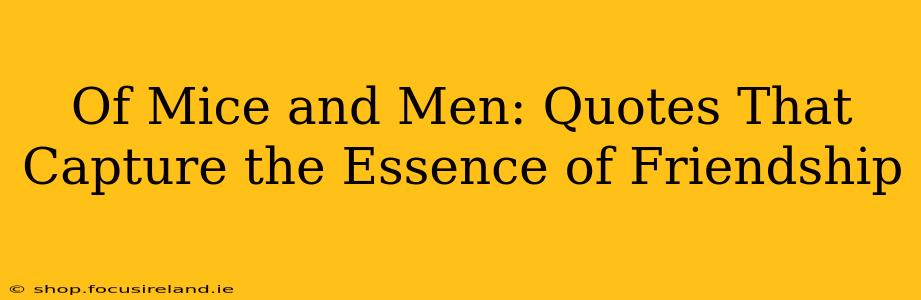 Of Mice and Men: Quotes That Capture the Essence of Friendship