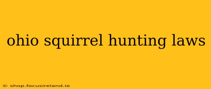 ohio squirrel hunting laws