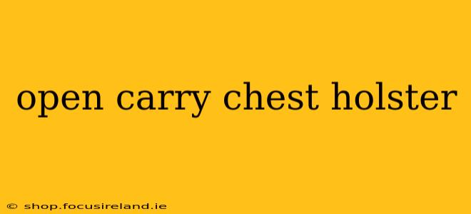 open carry chest holster