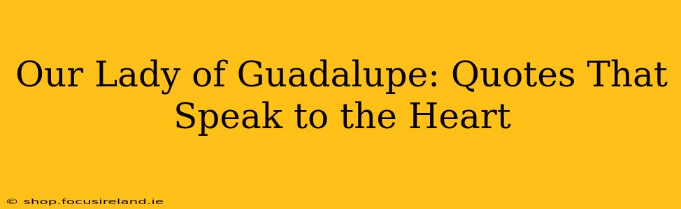 Our Lady of Guadalupe: Quotes That Speak to the Heart
