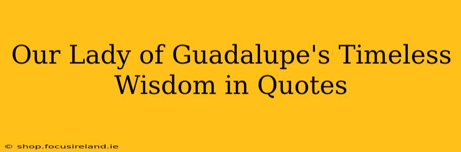 Our Lady of Guadalupe's Timeless Wisdom in Quotes