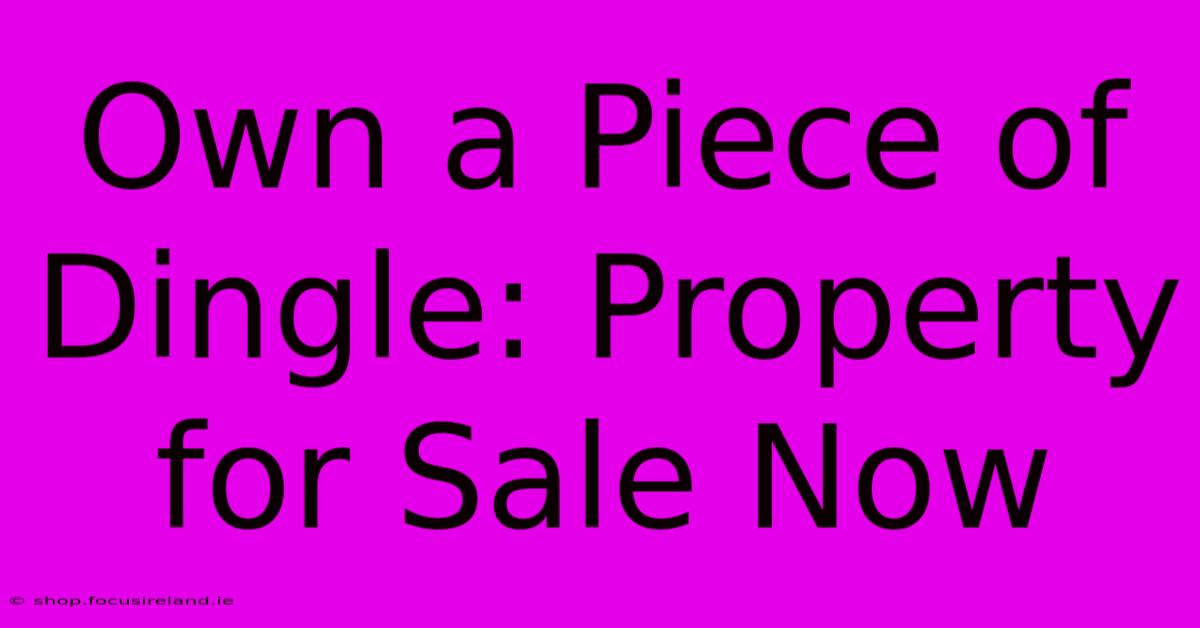 Own A Piece Of Dingle: Property For Sale Now