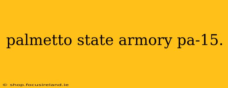 palmetto state armory pa-15.
