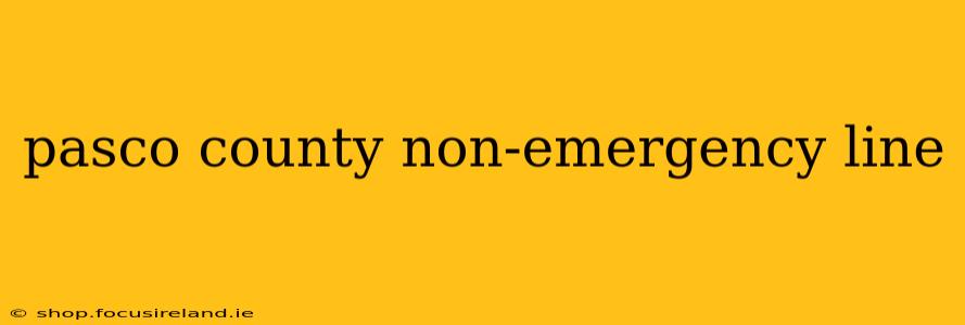 pasco county non-emergency line