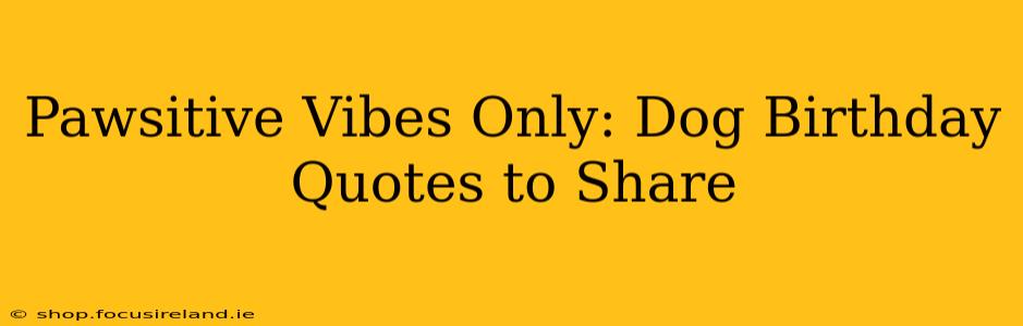 Pawsitive Vibes Only: Dog Birthday Quotes to Share